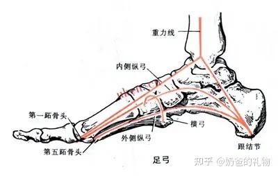 品牌运动牌子_运动牌品_运动品牌列表