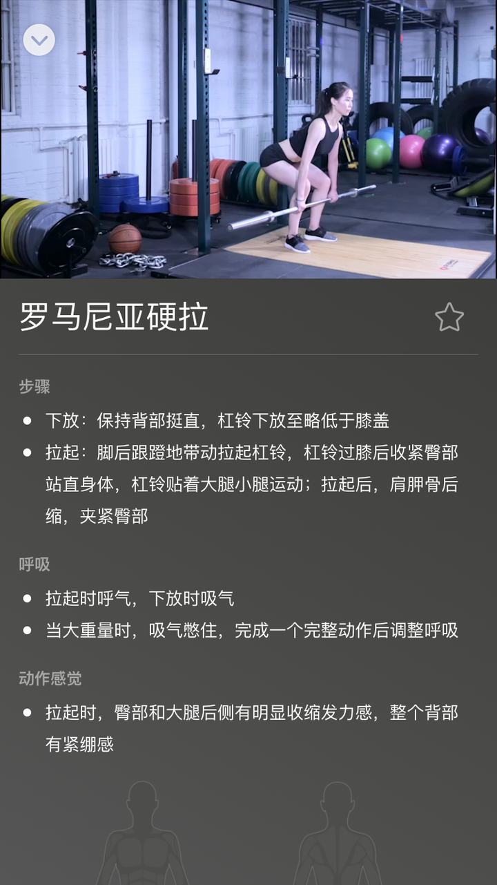 运动器械的作用_运动器械名称_器械动作名称