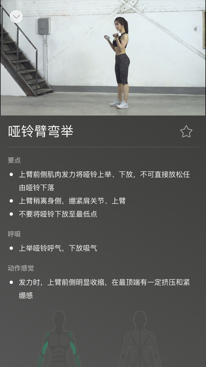 器械动作名称_运动器械名称_运动器械的作用