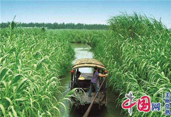 万人开跑！常熟银行2019常熟国际半程马拉松盛大开赛