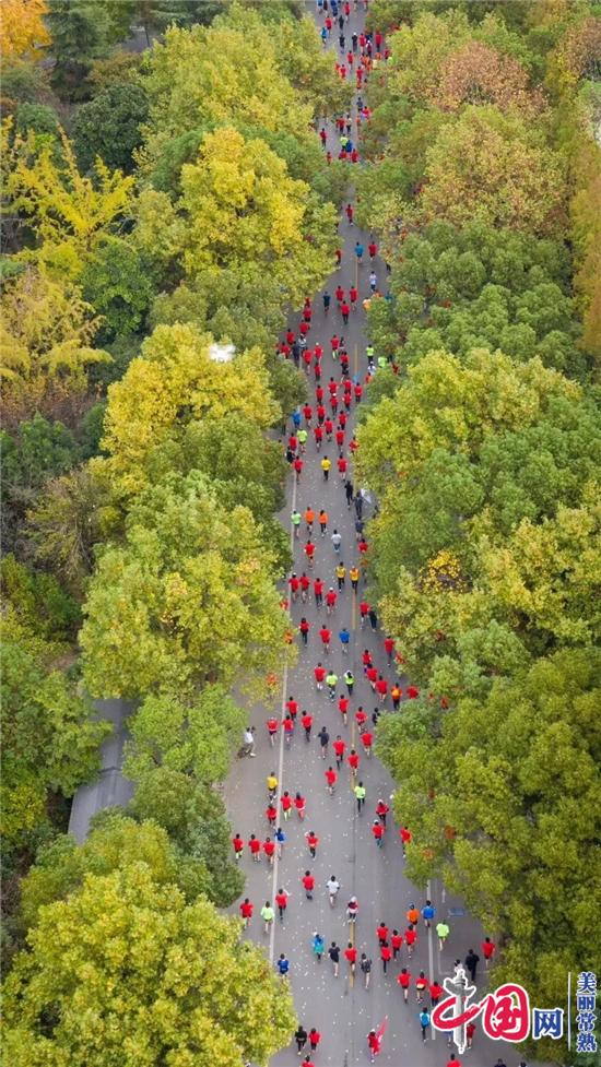 万人开跑！常熟银行2019常熟国际半程马拉松盛大开赛