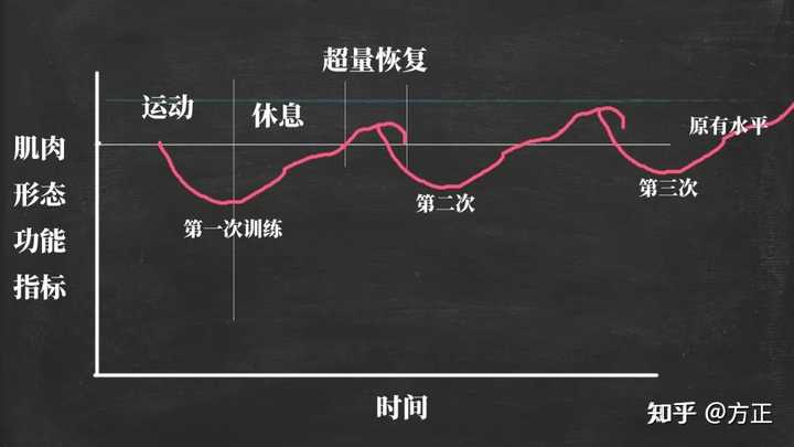 健身营养怎么跟上_健身后提高营养的方法_锻炼后营养补充